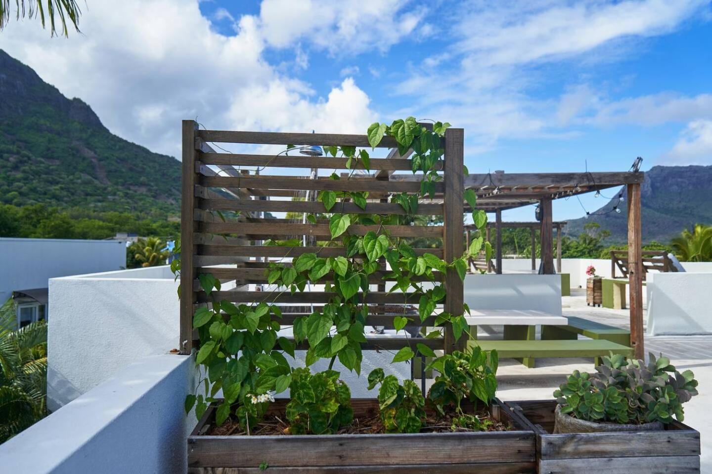 Loukaz -Entire Rental Units W Panoramic Rooftop Coteau Raffin エクステリア 写真